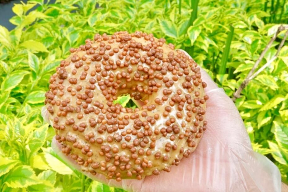 Las donas gourmet que son un verdadero reto para gordos