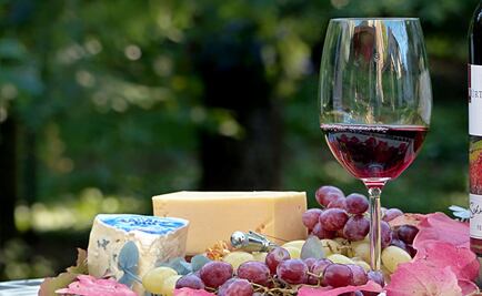 ¿Por qué el vino es considerado un alimento?