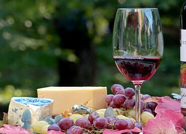 ¿Por qué el vino es considerado un alimento?