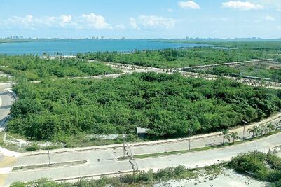 Tajamar: historia de un ecocidio blanquiazul