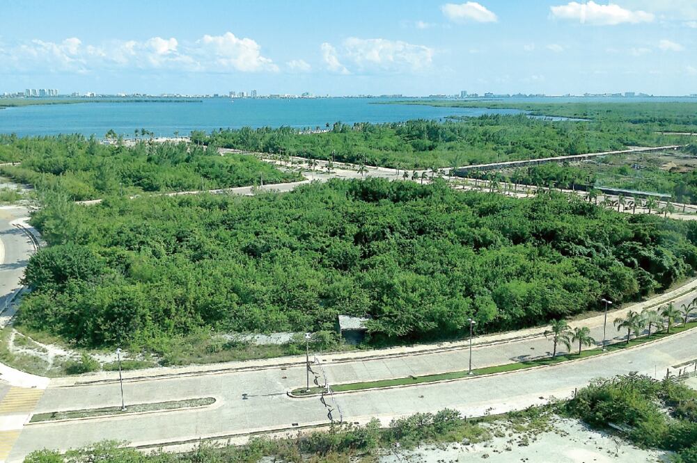 De las más de 74 hectáreas del área verde, 65% eran manglares, ecosistema que está protegido por la ley (ARCHIVO. EL UNIVERSAL)