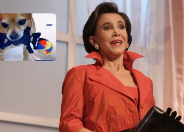 Muñeco de "Kiko" es juguete del perro de Florinda Meza