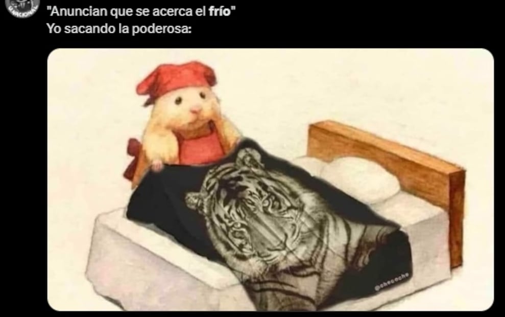 Los mejores memes que dejó el Frente Frío 29. Foto: Redes sociales