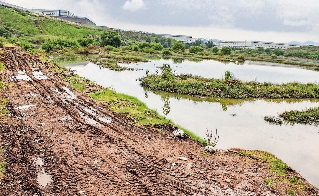 Autoridades informaron que suman más de 20 mil metros cúbicos de azolve retirados de la presa. Foto: Especial