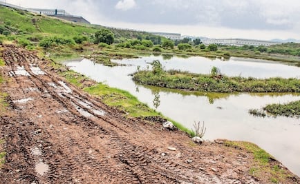 Retiran 75 toneladas de basura de la presa El Ángulo