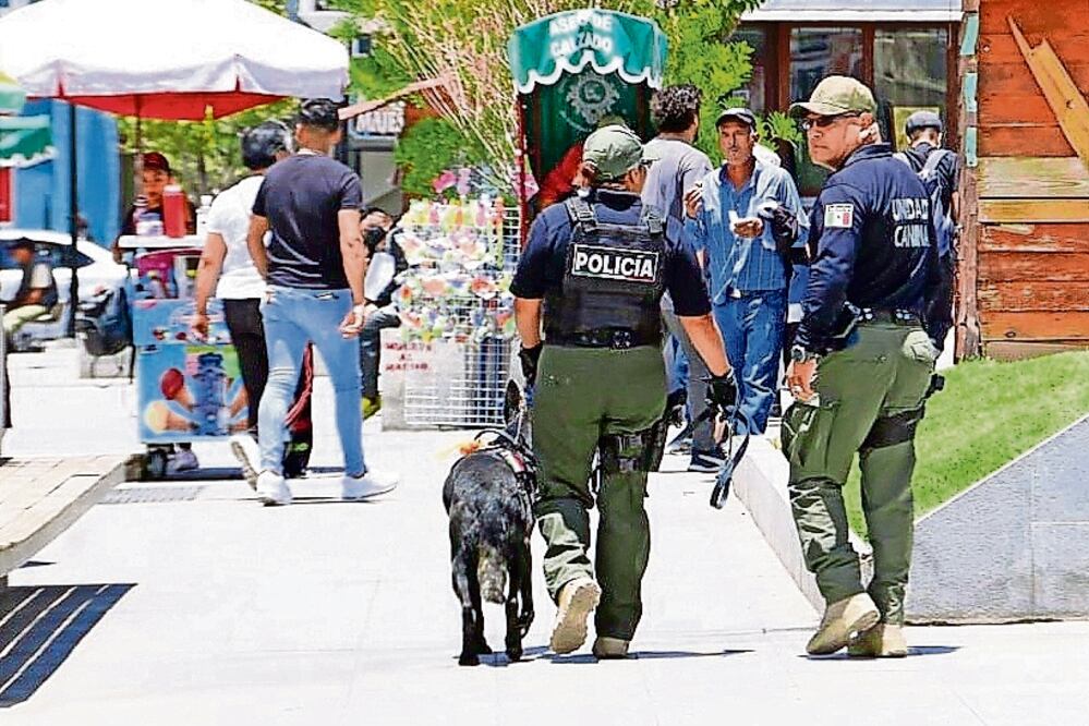 Ninguna autoridad puede presumir una estrategia exitosa con el actual nivel violencia, opina la Coparmex. Foto: Archivo / EL UNIVERSAL