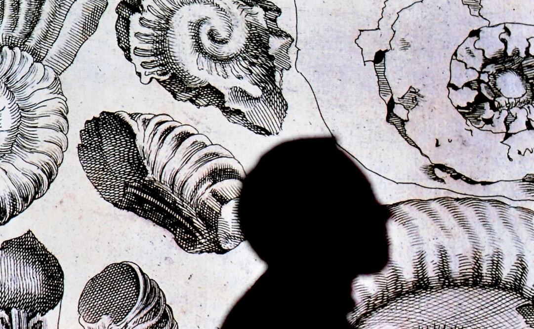 Florencia inauguró las conmemoraciones por el 500 aniversario de la muerte de Leonardo da Vinci. Foto: Tiziana Fabi / AFP