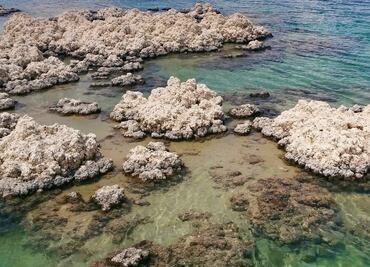 Buscan ley para proteger estromatolitos ante turismo creciente por Tren Maya