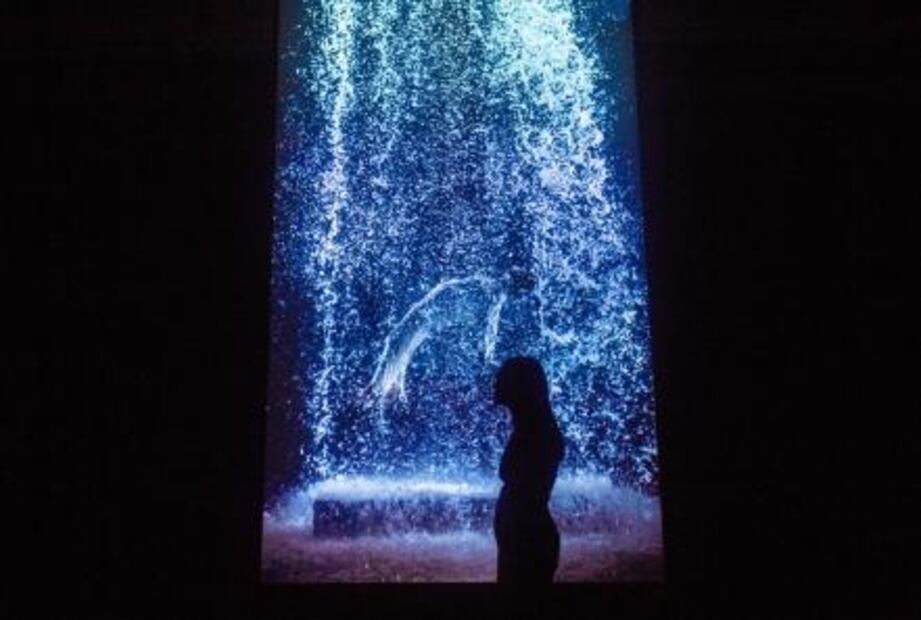 Bill Viola y Miguel Ángel "conversan" sobre el ciclo de la vida