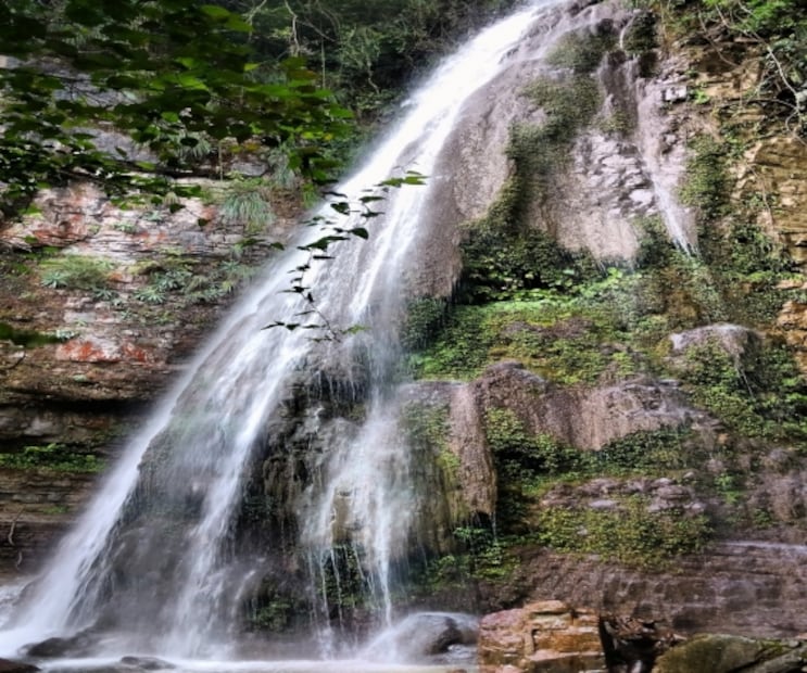 Qué hacer y ver en el Pueblo Mágico de Xilitla