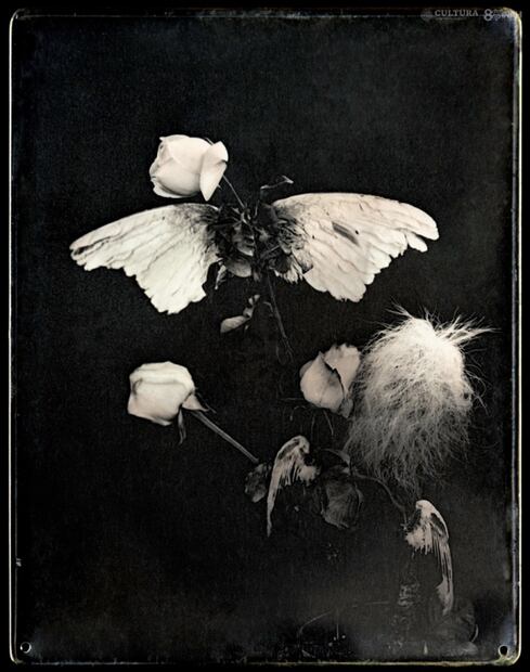 Artistas rescatan técnicas de impresión fotográfica del siglo XIX