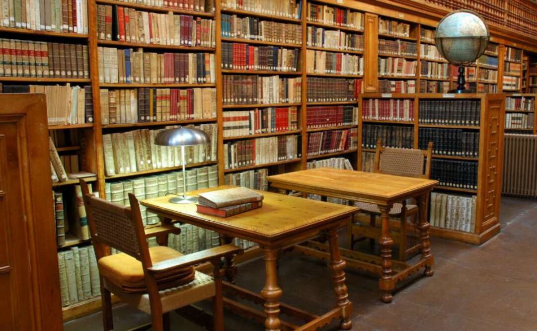 La Biblioteca del Instituto de Geografía es considerada como una de la más importantes del país debido a su acervo, que se compone de material bibliohemerográfico, cartográfico y audiovisual especializado