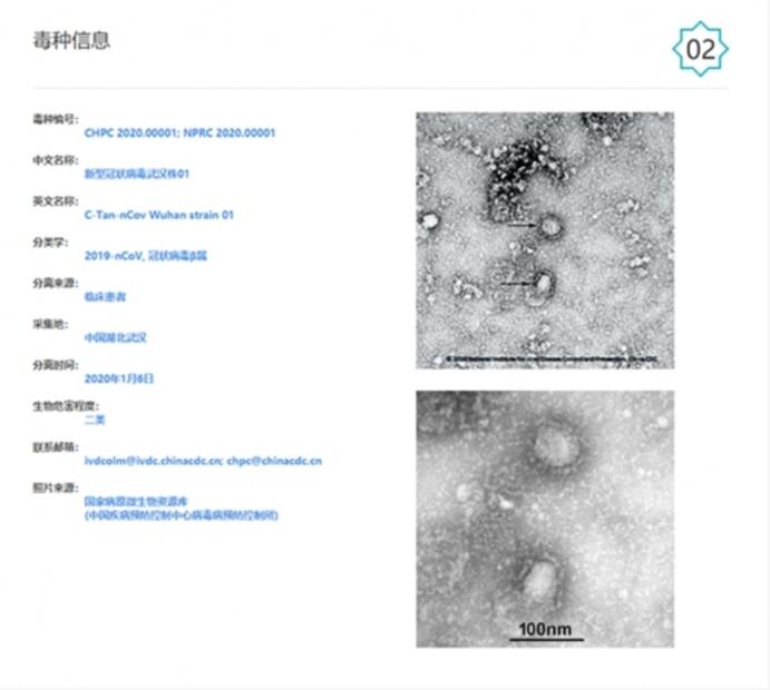 Así se ve el coronavirus de Wuhan desde el microscopio, autoridades difunden micrografía