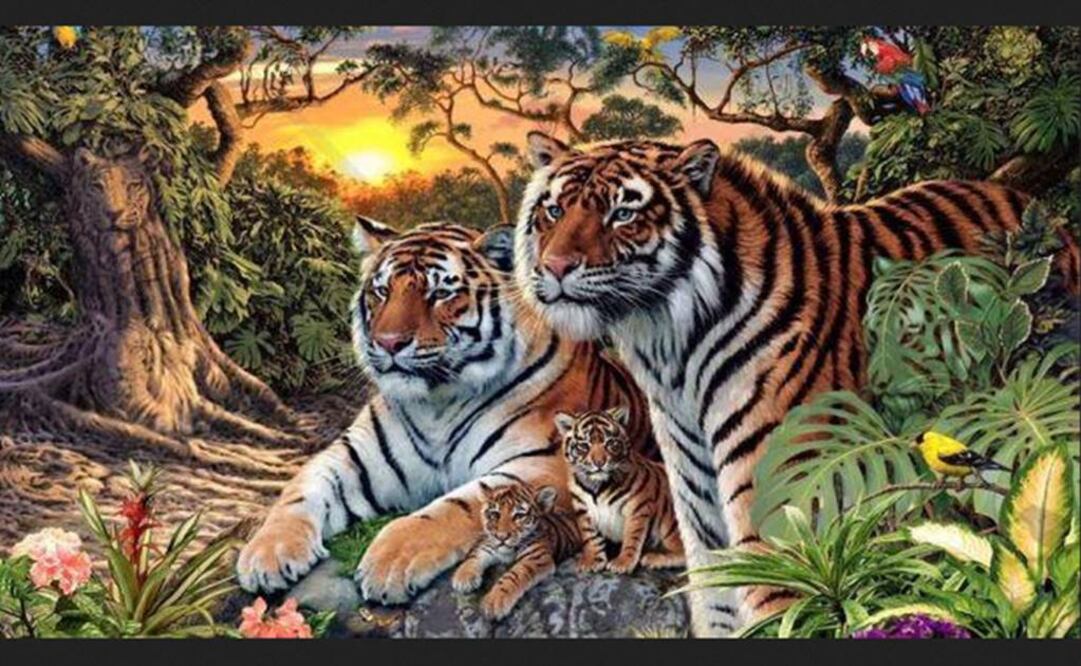 Reto. ¿Cuántos tigres ves en esta foto?