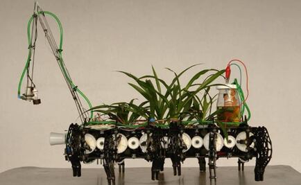 Bioarte de Gilberto Esparza viajará a Europa