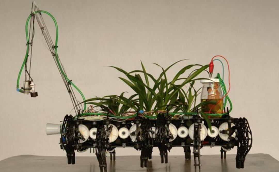 Piezas como “Plantas Autofotosintéticas”, “Plantas Nómadas” y “Parásitos Urbanos” destacan en su trabajo. (FOTO tomada de plantasnomadas.blogspot.mx)