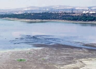 Mueren peces y aves por sequía de presa