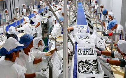 Plantas sardineras garantizan abasto durante la emergencia por Covid-19