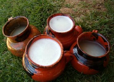 No te pierdas el Festival del Pulque, Mezcal y Cerveza Artesanal