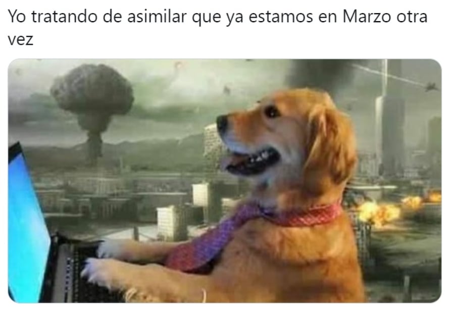 Memes de marzo. Foto: Facebook