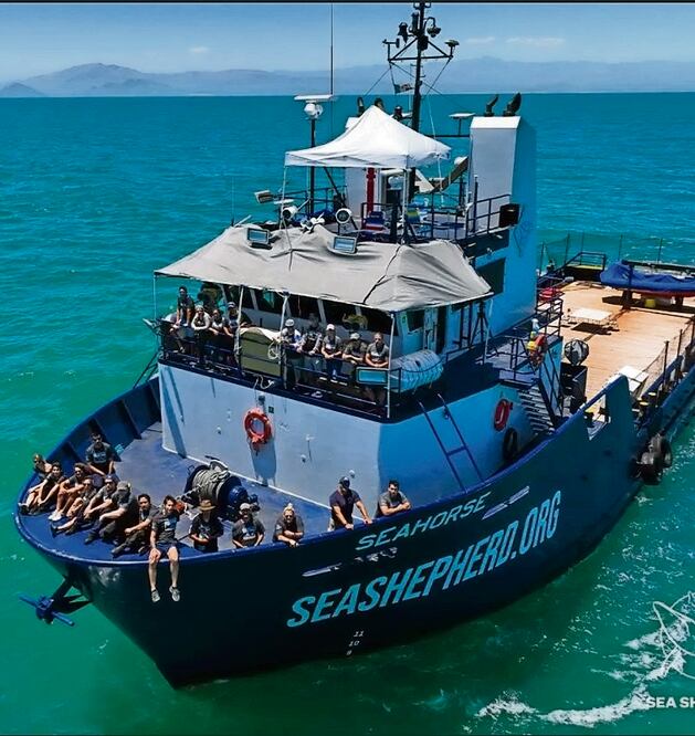 La nave de vigilancia Seahorse se desplegó en el Alto Golfo. Foto: Especial