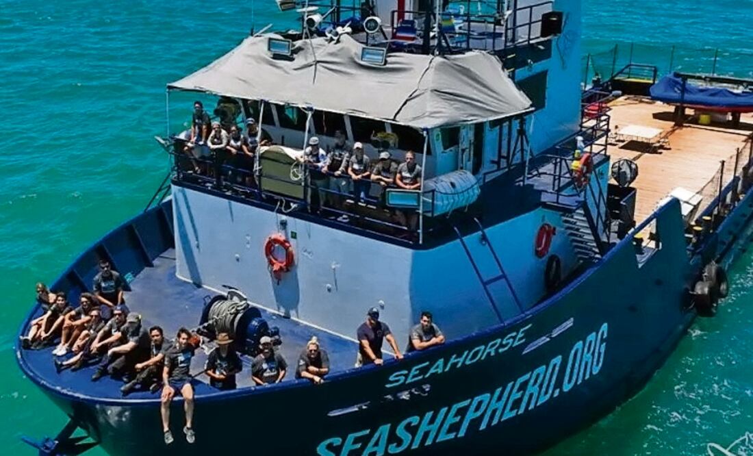 La nave de vigilancia Seahorse se desplegó en el Alto Golfo. Foto: Especial