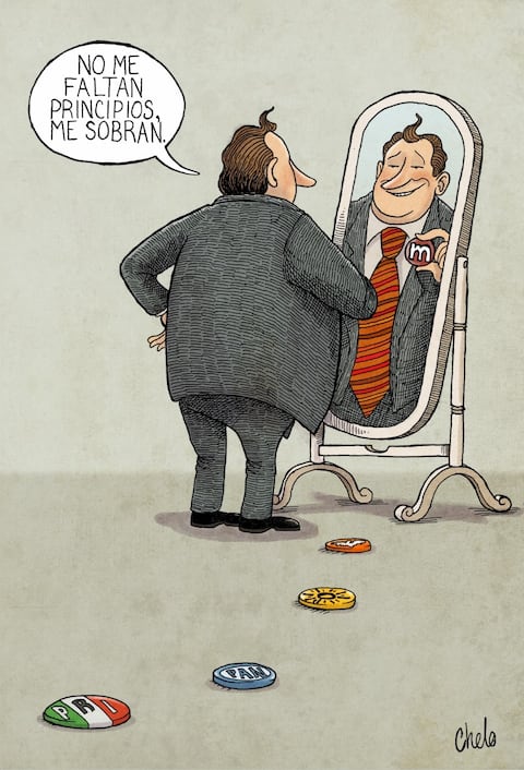 Político profesional