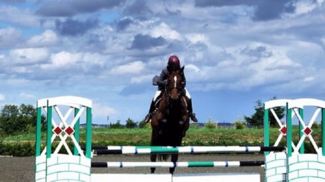 Qué puedes encontrar en la tercera sección del Bosque de Chapultepec 