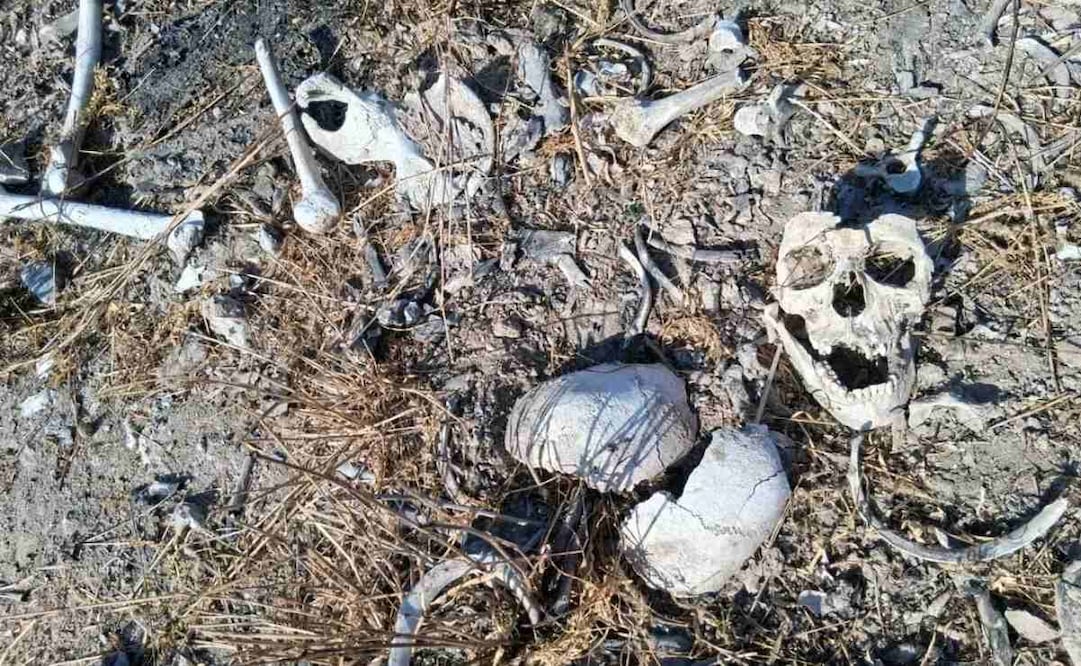 Colectivo localiza restos óseos en Reynosa, Tamaulipas; acumula 28 hallazgos en lo que va del año.
Foto: Especial.