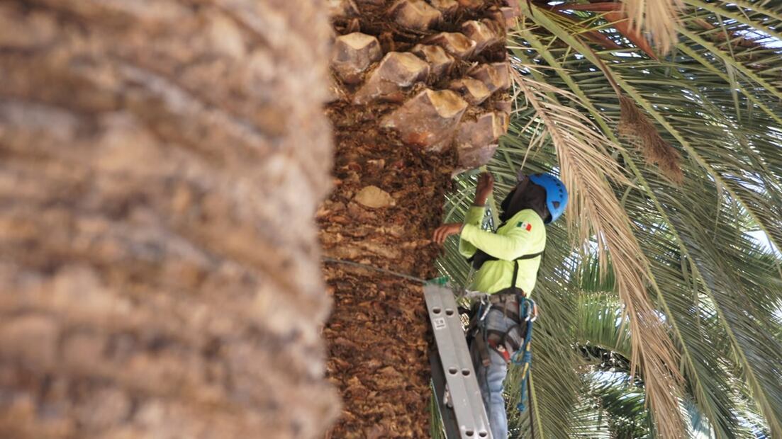 FOTO: Especial/ EL UNIVERSAL/