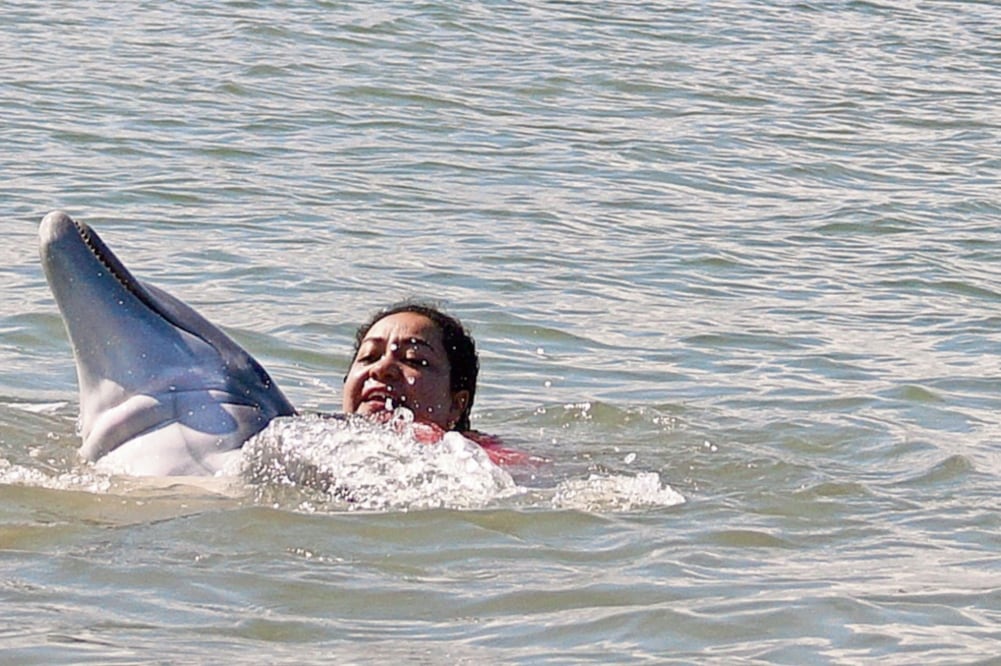 Si alguien decide tirarse al agua y nadar, Lucero se aproxima. Los lancheros comentan que la delfín se siente mejor cuando quienes están nadando son mujeres embarazadas o niños enfermos. (FOTOS: ESPECIAL)
