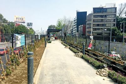 Plantas del Ecoducto se marchitaron por proceso de adaptación: AGU