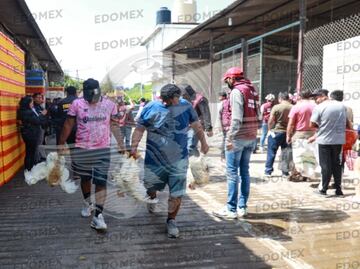 VIDEO: Pollos decomisados en Operación Liberación se reparten a familias de Tejupilco; el kilo de pierna rebasaba los 200 pesos