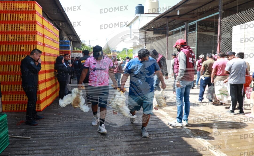 Era un lujo comer pollo en Tejupilco. Foto: Alejandro Vargas