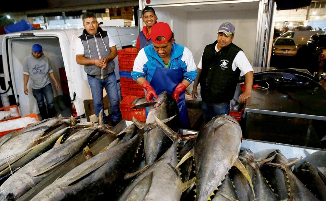 A worker checks the quality of Mexican tuna displayed at a fish market in Mexico City, Mexico May 18, 2017 - Photo: Henry Romero/Reuters