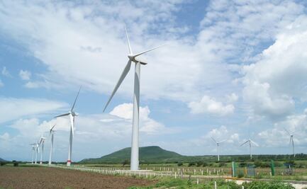 Empresa francesa enfrenta acusaciones por proyecto eólico en Oaxaca