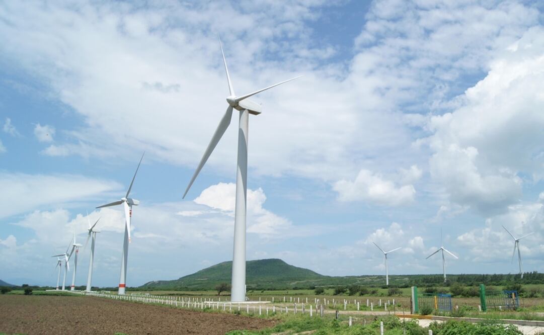 Foto: Edwin Hernández / EL UNIVERSAL