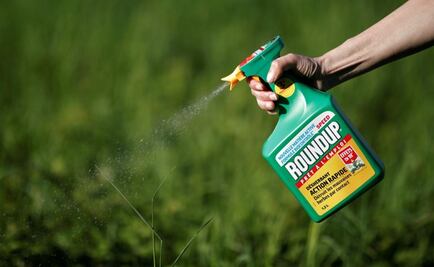 Monsanto acquisition by Bayer will be limited in Mexico