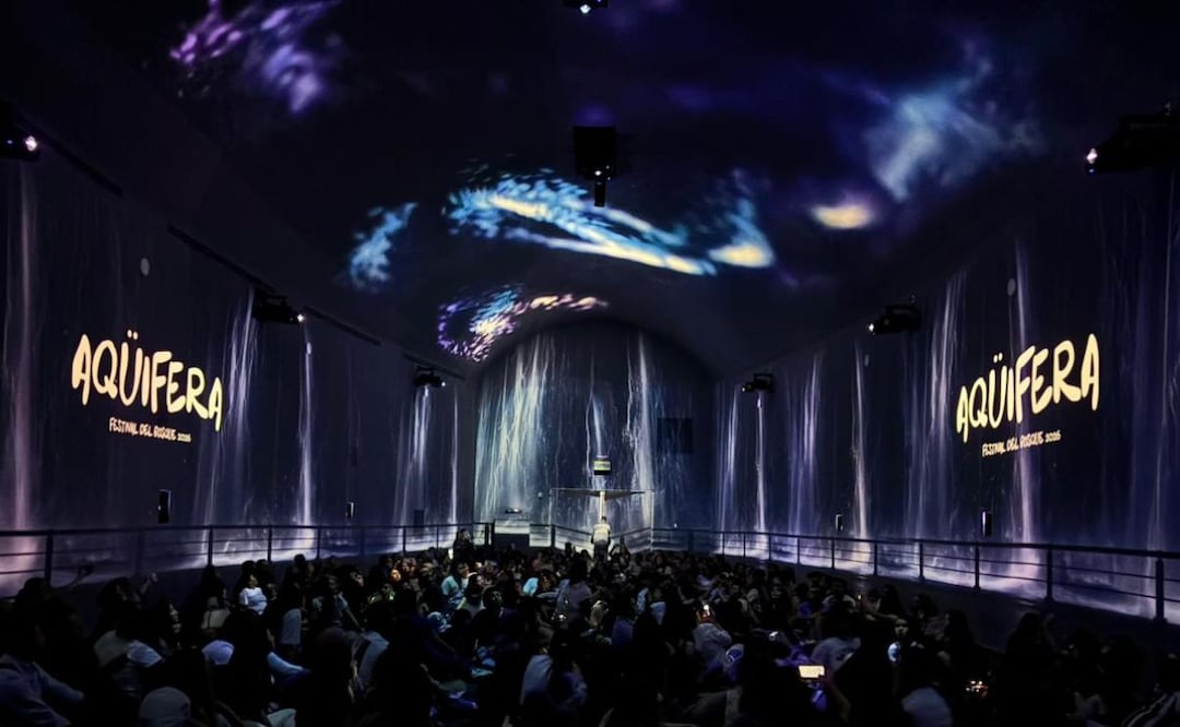 Una experiencia inmersiva que te lleva a las profundidades del mar. Foto: Aqüifera