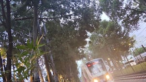¡Otra vez el Tren Ligero! Suspenden servicio por segundo día consecutivo; rama cae sobre catenaria