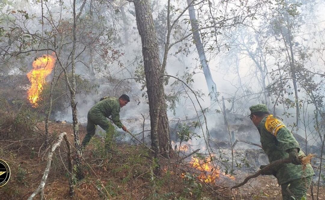 Foto: Tomada de Twitter @SEDENAmx