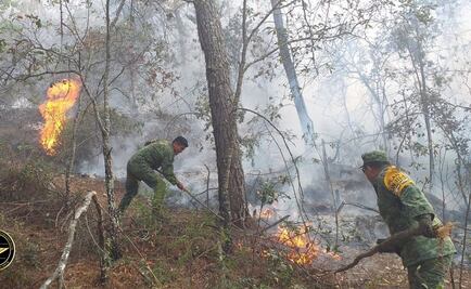 Aplican Plan DN-III-E por incendios en Querétaro, Durango y Tabasco