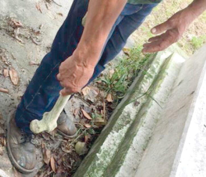 El Foco. La entrevista soñada con Manolo, el diputado dormilón