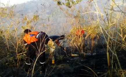 Sofocan incendio en parque nacional de Guerrero