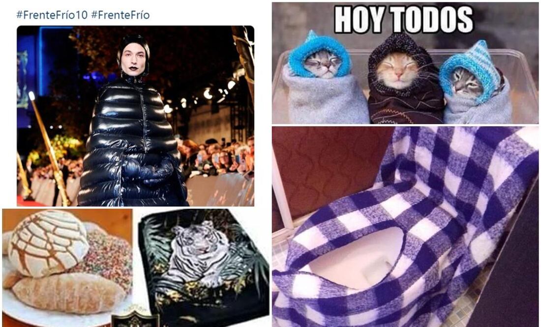 Te dejamos unos memes del frío para entrar en calor