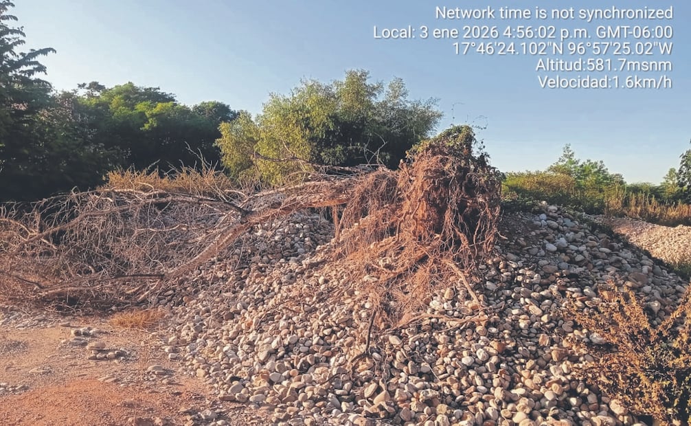 Daños por extracción de material. Foto: Especial