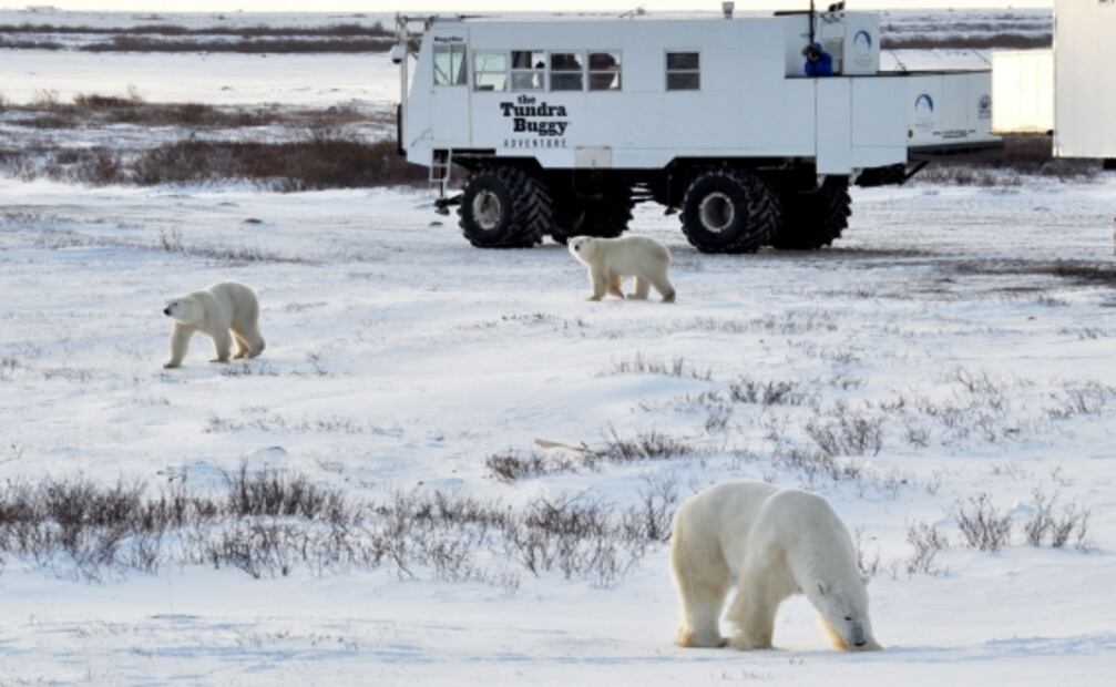 Canadá reabre al turismo | 10 de sus lugares más espectaculares