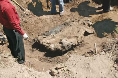 PGR gasta 40 mdp en pruebas de ADN