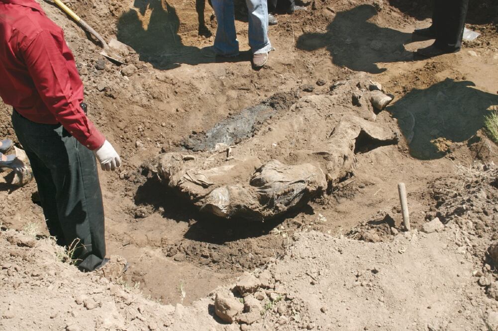 El segundo estado con más fosas clandestinas localizadas entre 2011 y 2017 fue Jalisco, con 37 (ARCHIVO EL UNIVERSAL)