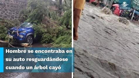 Fuerte lluvia deja sin energía eléctrica y con árboles caídos a vecinos de Iztapalapa